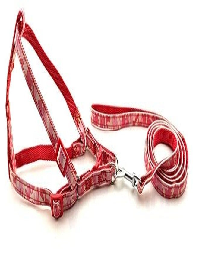 Pups&Pets سترة مبطنة من النايلون 10 مم قابلة للتعديل مع حزام مطبوع بنمط شريطي ومقود طويل، مثالية للمشي في الهواء الطلق/تدريب الكلاب والجراء (أحمر) - Image 2